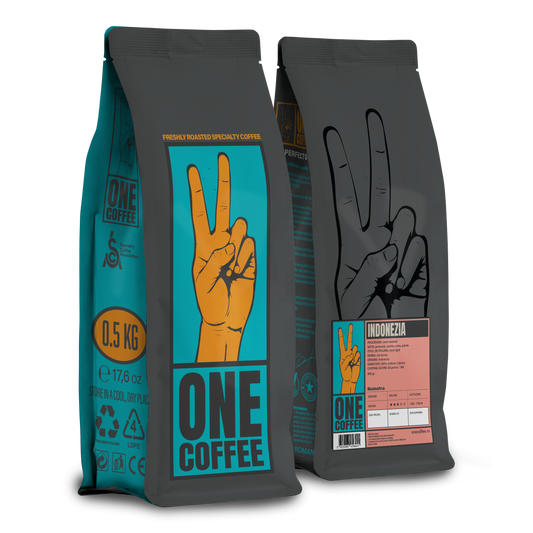 One Indonesia Sumatra Lintong G1