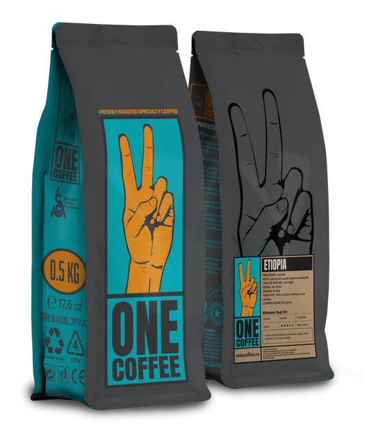ONE Ethiopia Sidamo Guji G1