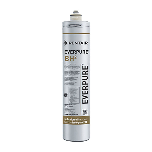 Cartuș filtrant Pentair Everpure BH2