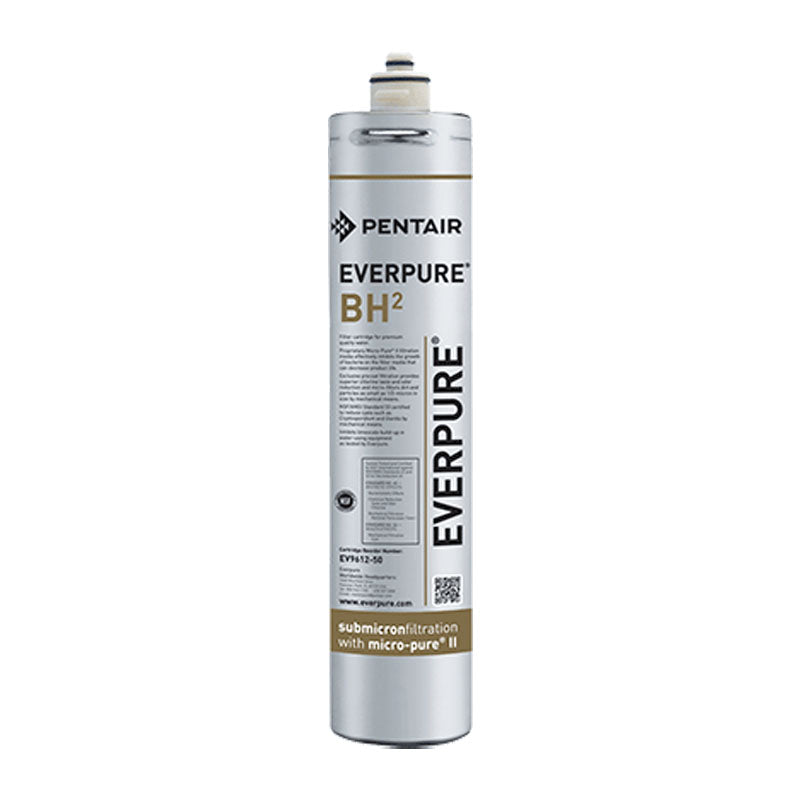 Cartuș filtrant Pentair Everpure BH2