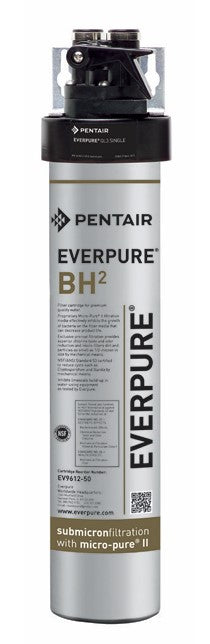 Filtru Pentair Everpure BH2 sistem complet